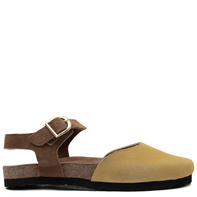 Brown || Yellow